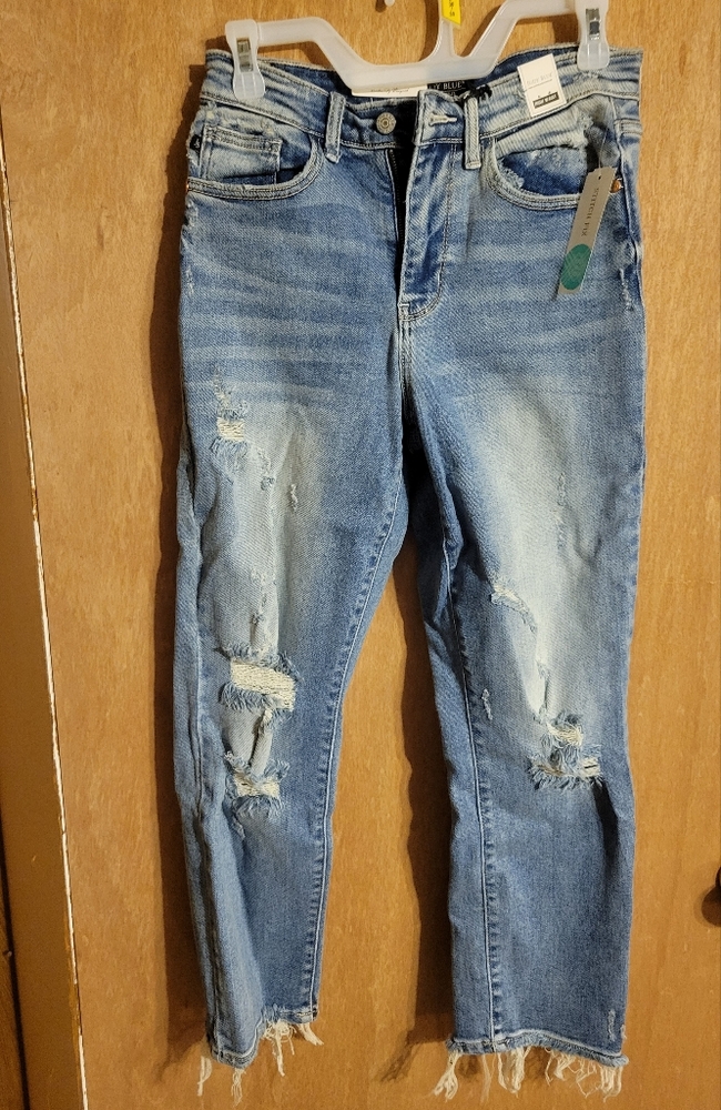 Judy Blue Remus 90s High Rise Regular Inseam SlimStraight Jean